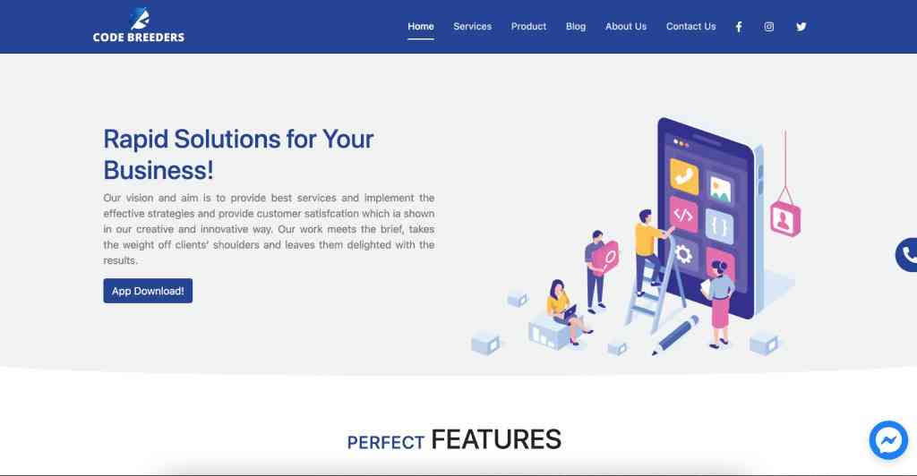 web app development services
